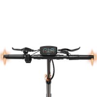 RCB E-Scooter D7 Ultra 20,8 Ah NFC ABE