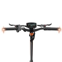 RCB D7 MAX E-Scooter mit Straßenzulassung