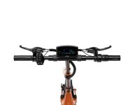 RCB E-Scooter D7 Pro ABE