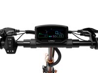 RCB E-Scooter D7 Pro ABE